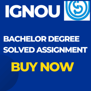 BECC 131 Solved Assignment 2025 IGNOU HINDI