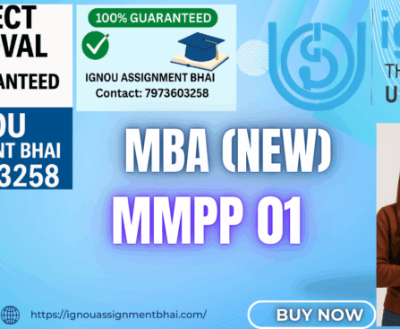 IGNOU MBA PROJECT